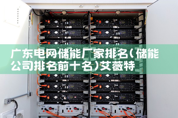 浙江本地储能电池推荐厂家|艾薇特