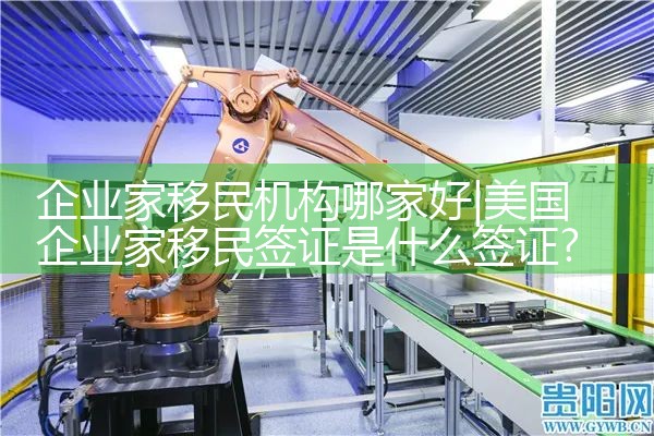 企业家移民机构哪家好