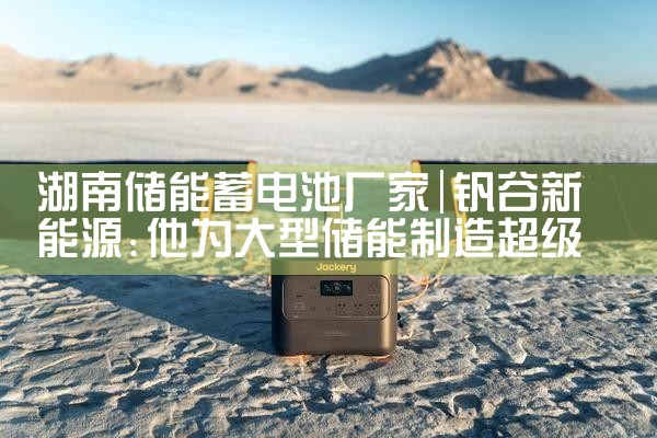 湖南储能蓄电池厂家