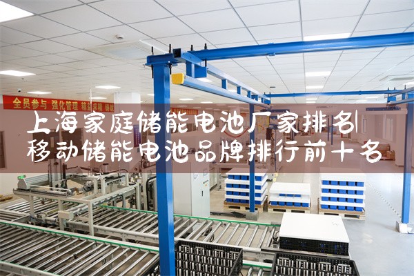 上海家庭储能电池厂家排名|储能
