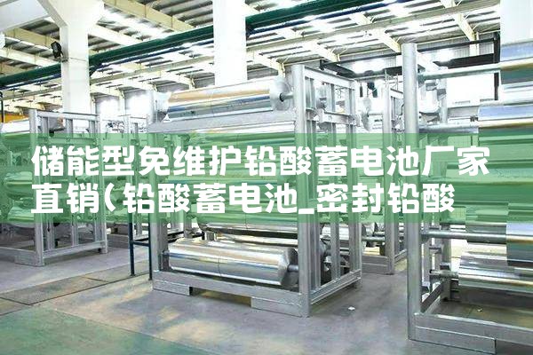 储能型免维护铅酸蓄电池厂家直销