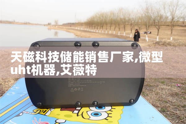 天磁科技储能销售厂家|艾薇特