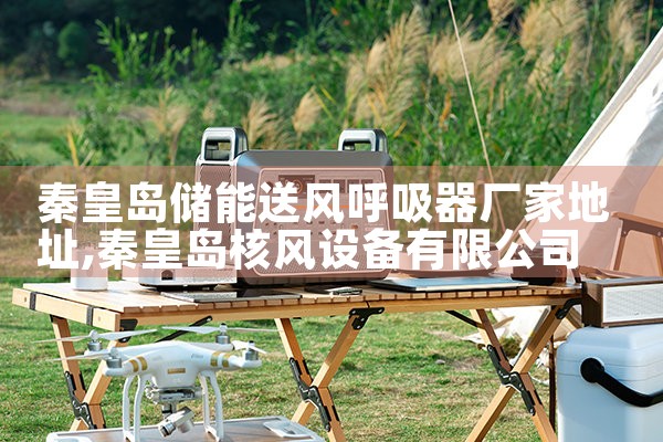 秦皇岛储能送风呼吸器厂家地址|艾薇特