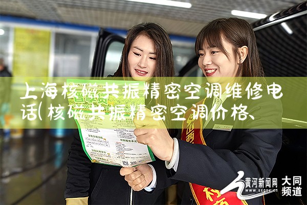 上海核磁共振精密空调维修电话|同城维修客服中心