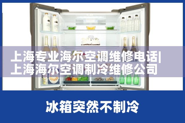 上海专业海尔空调维修电话|24<center><img alt=